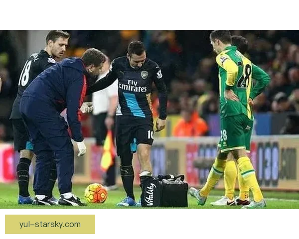 吉马良斯大腿重伤休战十周左右